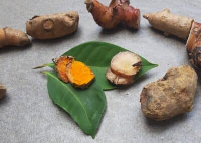 Anti-Inflammatory Diets Part 3: The benefits of Zingiberaceae